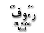 Ra'uf