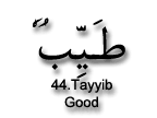 Tayyib